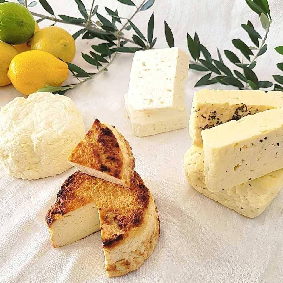 halloumi cheese (instagram.com/olympuscheese)