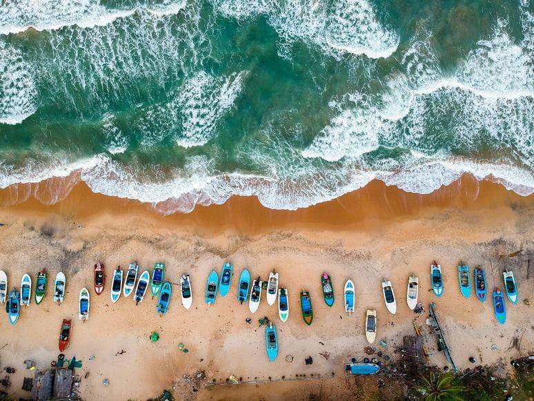 Sri Lanka (unsplash.com/Tomáš Malík)