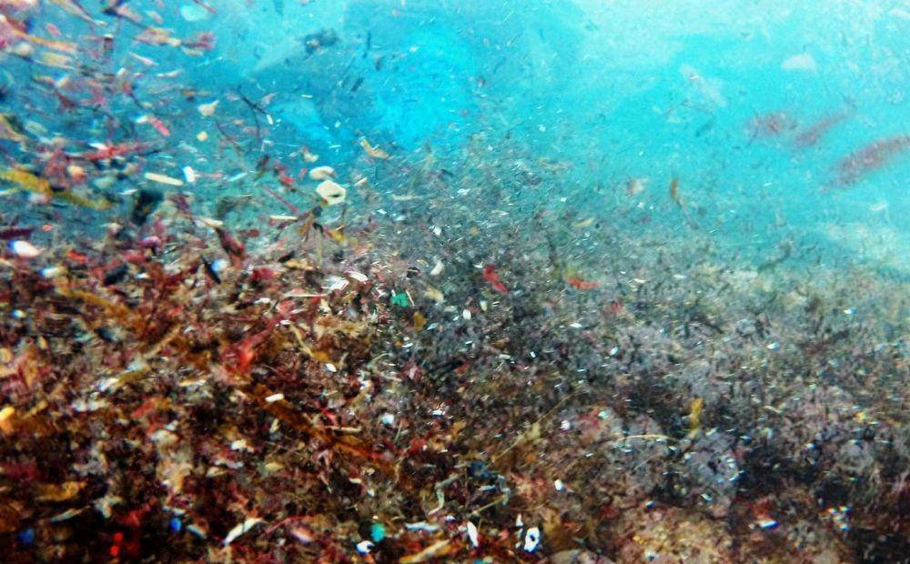 ilustrasi sampah di dalam laut (solorganix.com)