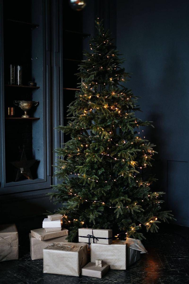 Pohon dan lampu kelap-kelip di pohon natal. pexels.com/Olenka Sergienko