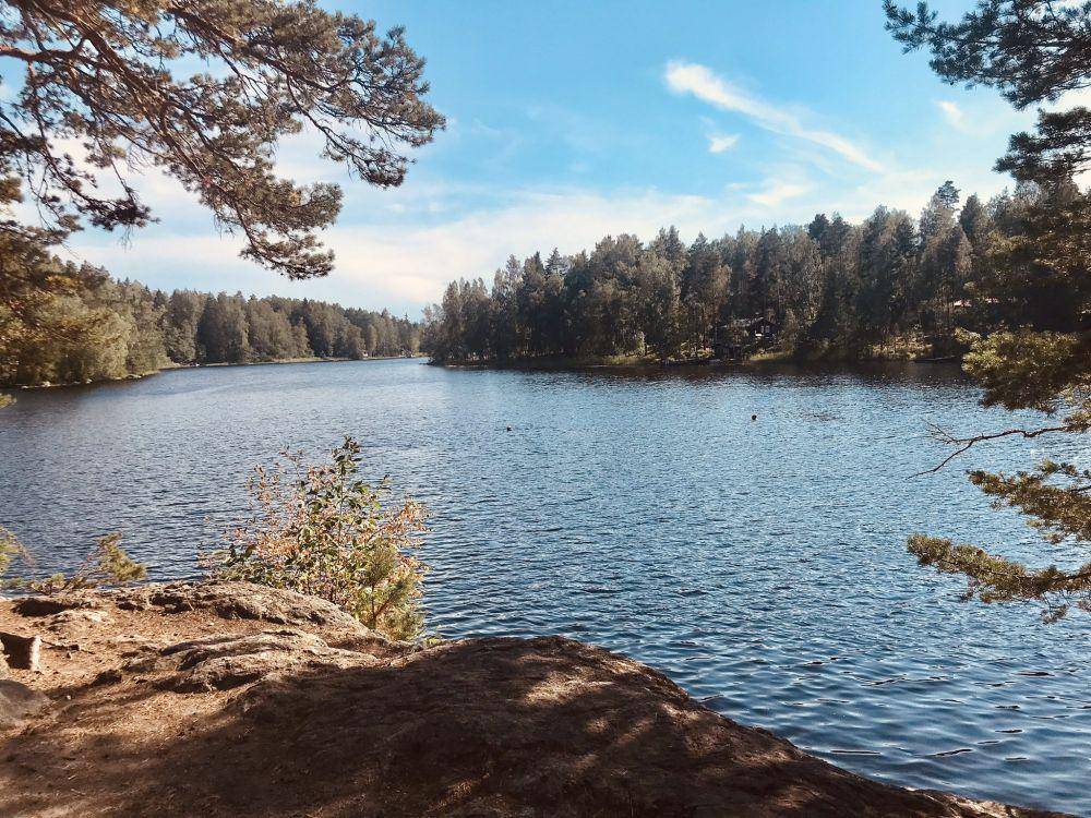 Suasana sungai di Finlandia saat terjadinya gelombang panas pada Agustus 2021. (twitter.com/RonanBrownen)