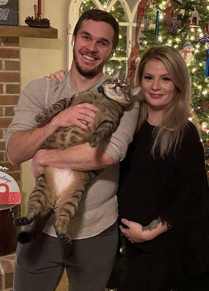 aksi lucu hewan peliharaan saat natal (reddit.com/Walrus-Shivers)