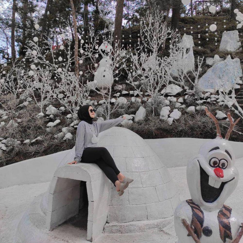 Snow Jungle The Lawu Park. (instagram.com/rahayuwidyarwati)