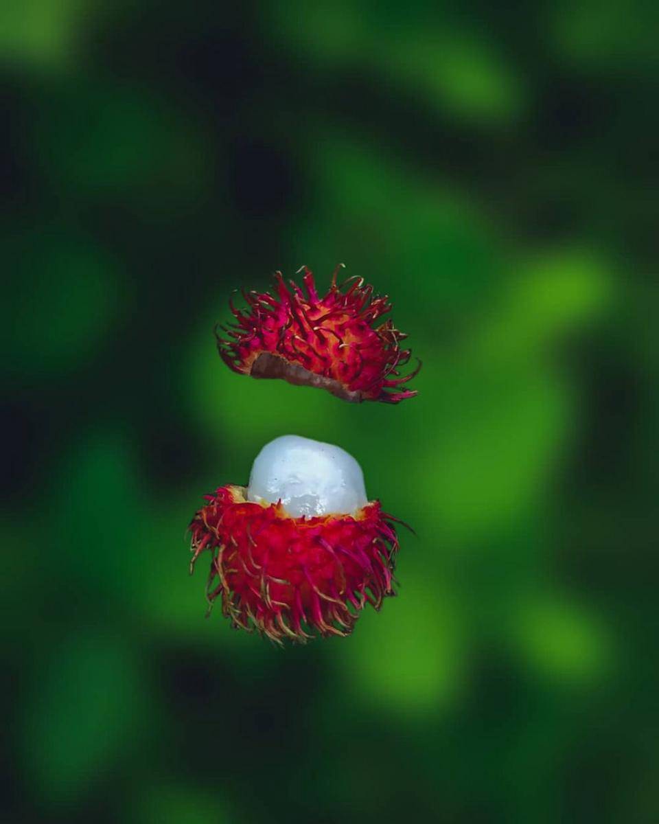 ilustrasi potret rambutan (instagram.com/thrideep_nair)