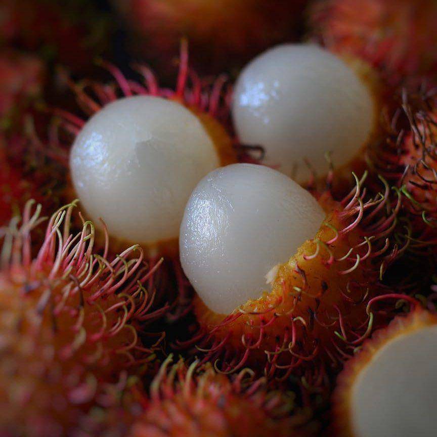 ilustrasi potret rambutan (instagram.com/nutritionist_remya)