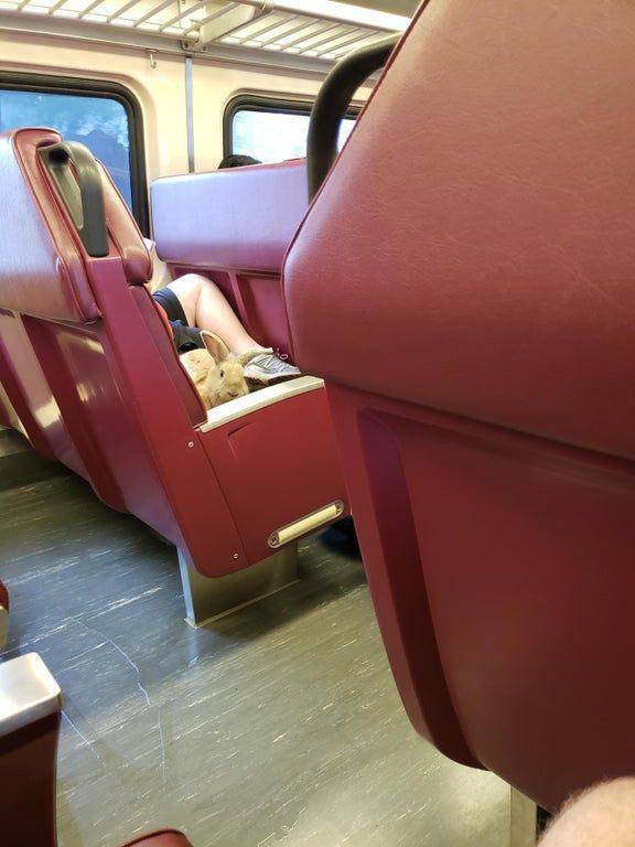 potret seekor kelinci di transportasi publik (old.reddit.com/user/ConBupintheclub)
