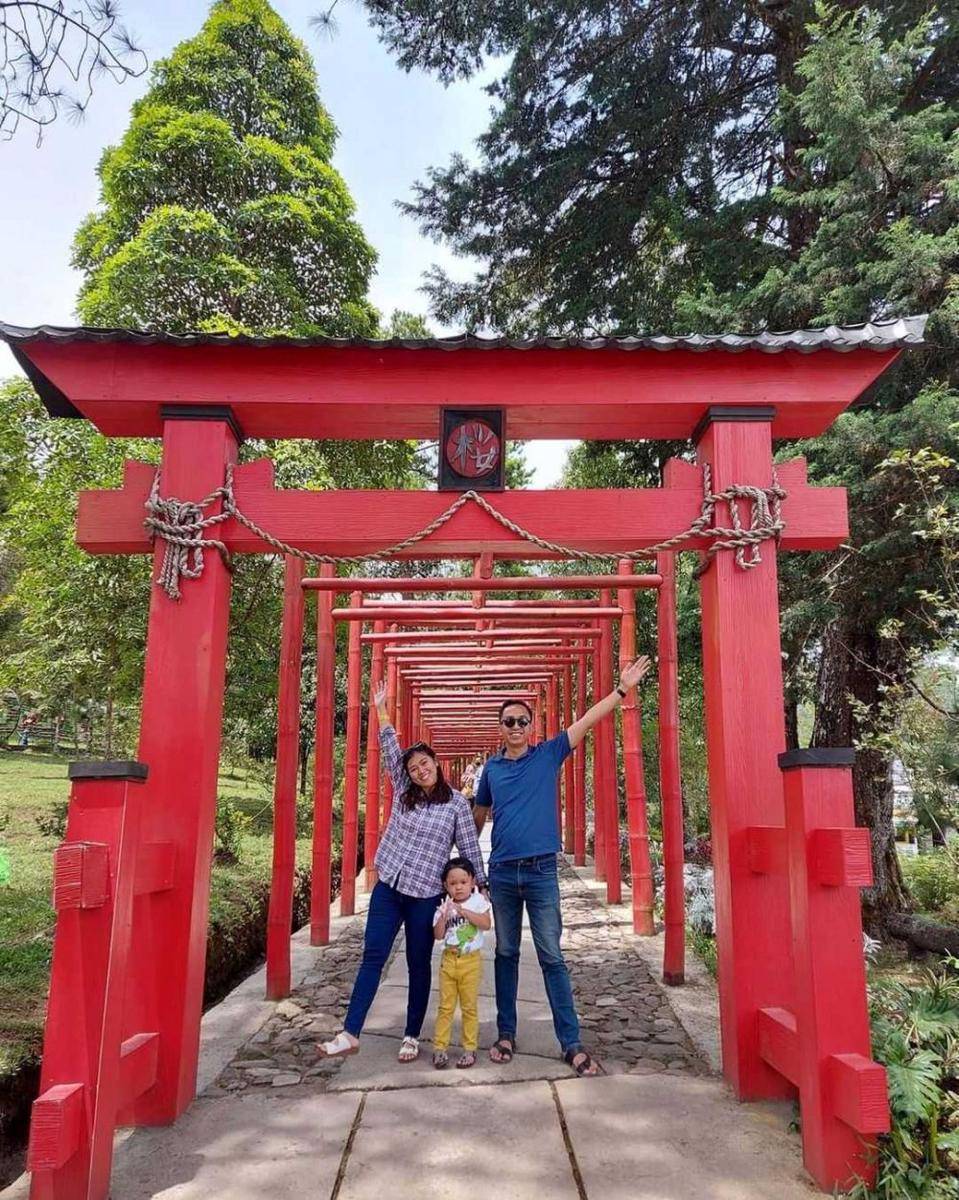 Sakura Hills (instagram.com/sakurahills_tawangmangu)