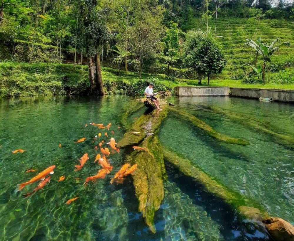 Umbul Mudal Slukatan Wonosobo: Informasi Rute, Lokasi, dan Tips