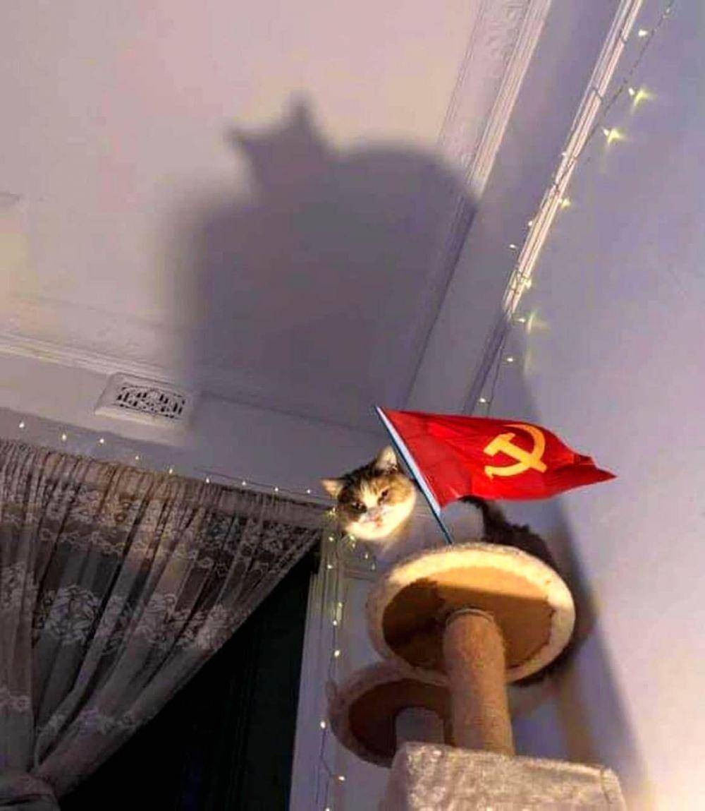 hal aneh yang normal di Rusia (twitter.com/Russia_NC)