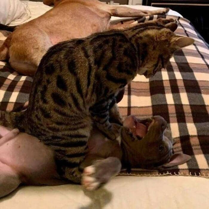 kegagalan terburuk dan terlucu (reddit.com/jasontaken)