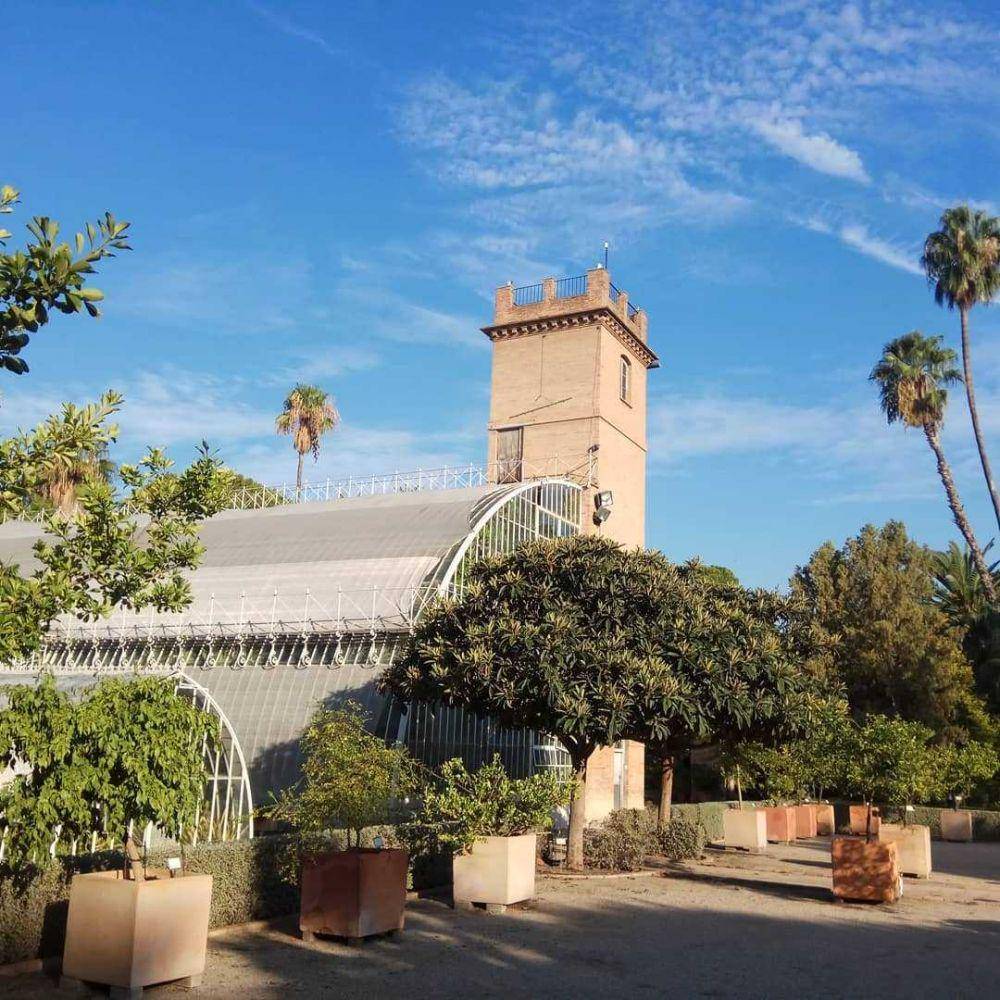 Jardí Botànic Valencia (instagram.com/ginkgoeducacion)