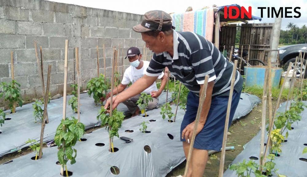 Bendahara Forum Komunikasi Petani "Grembaka Nir Sambikala", Abdul Mukid.(IDN Times/Daruwaskita)