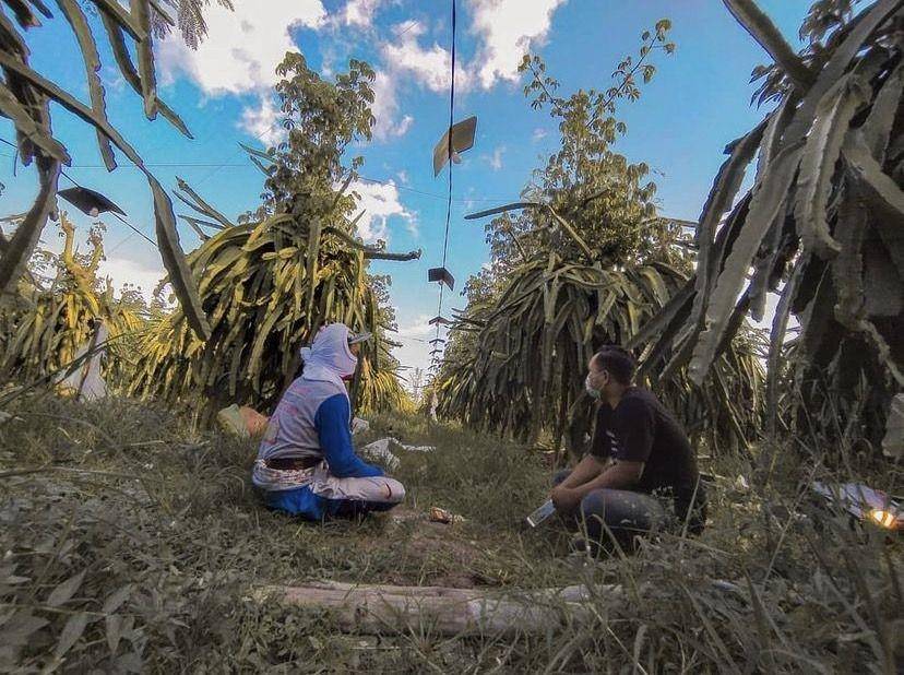 Muhammad Abdul Rohman di perkebunan buah naga. (instagram.com/seorangrohman)