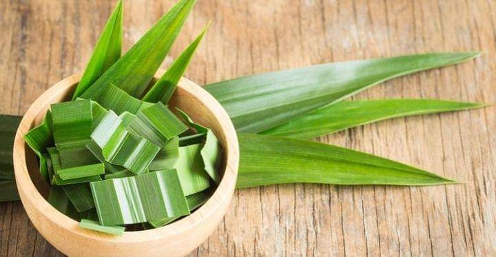 Foto daun pandan (instagram.com/iklim.my)