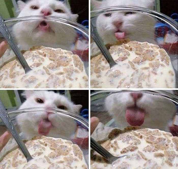 kegagalan terburuk dan terlucu (reddit.com/WhiteAmericanShooter)