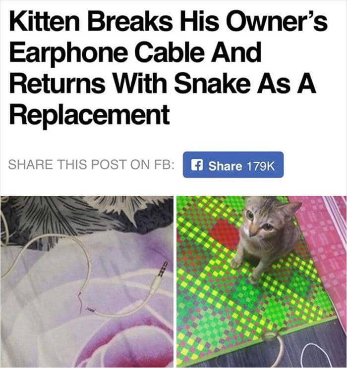 kegagalan terburuk dan terlucu (reddit.com/JiminyR)