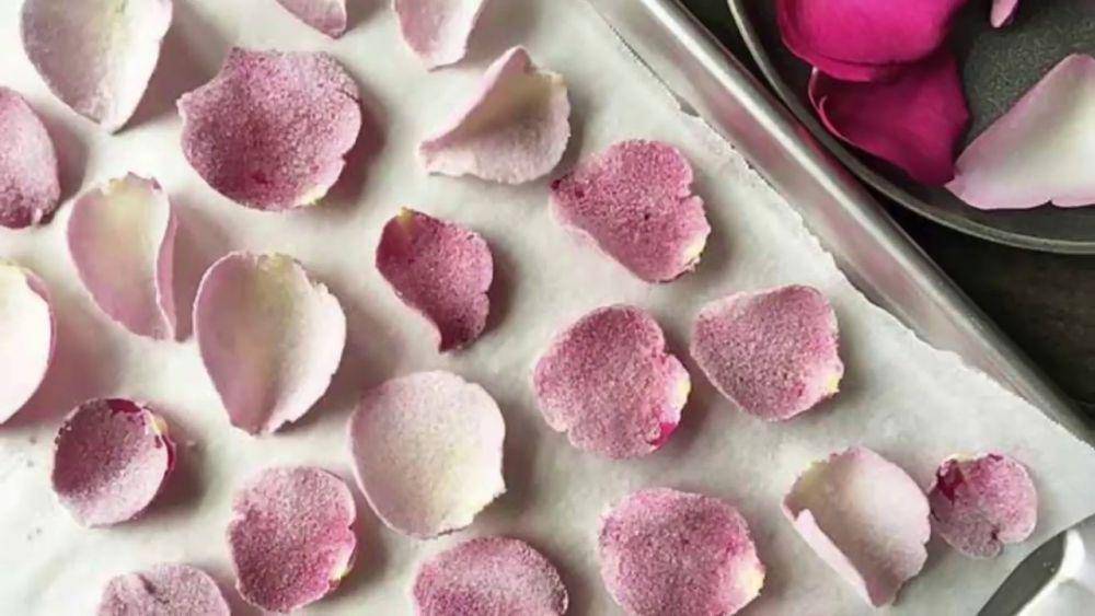 ilustrasi candied rose petal (youtube.com/DIY Design Muse)