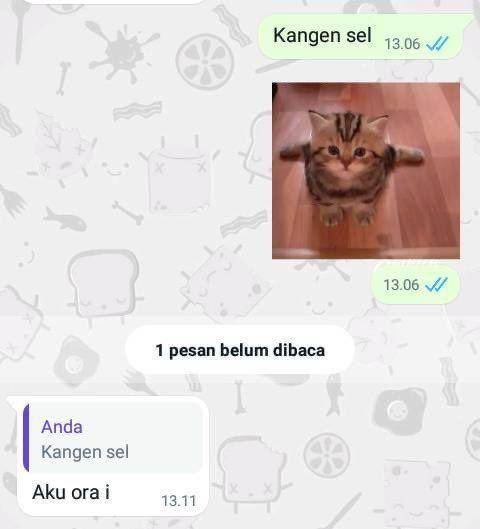 chat bahasa Jawa yang nyesek abis (twitter.com/jowoshitpost)