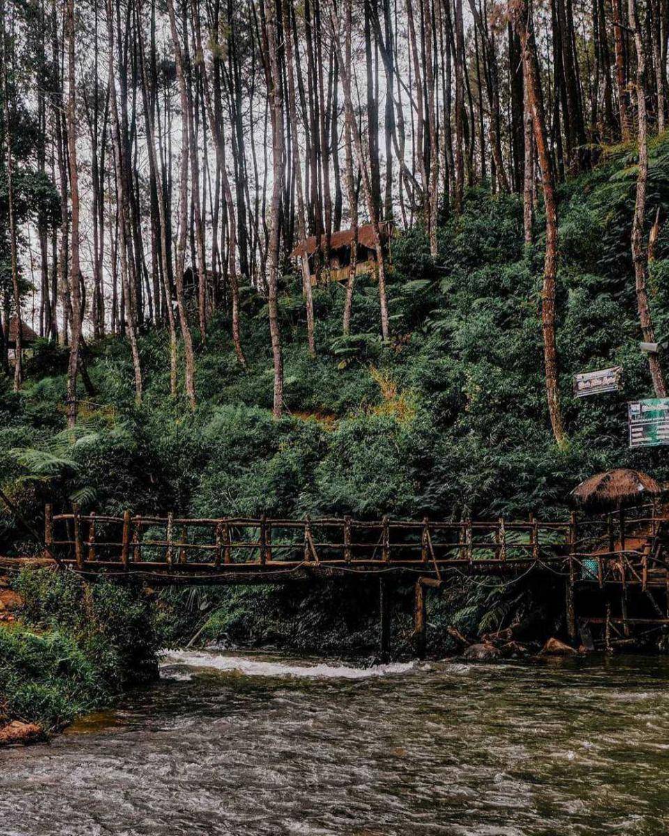 Hutan Pinus Rahong (instagram.com/bandungkiduls)