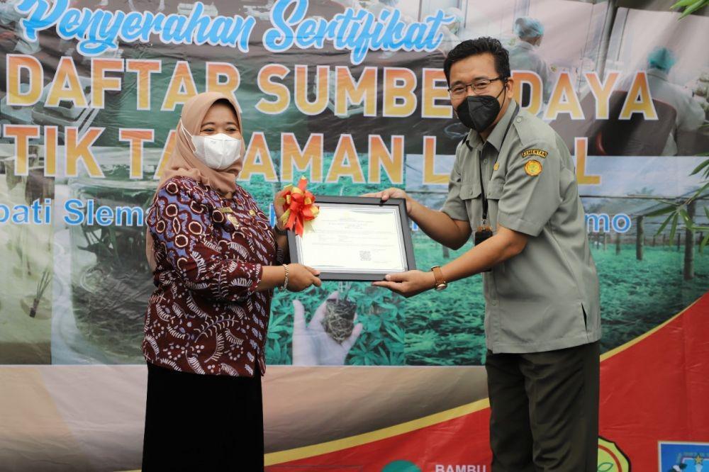 Tingkatkan Ekonomi Warga, 5 Tanaman Lokal Sleman Resmi Dipatenkan