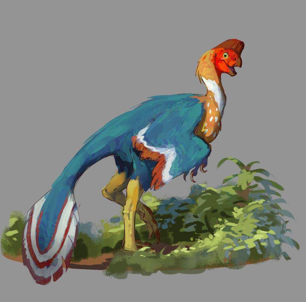 Oviraptor (instagram.com/pablonotpicasso)