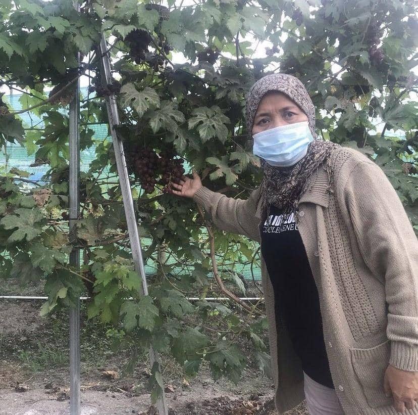 Tri Mumpuni. (instagram.com/tri_mumpuni)