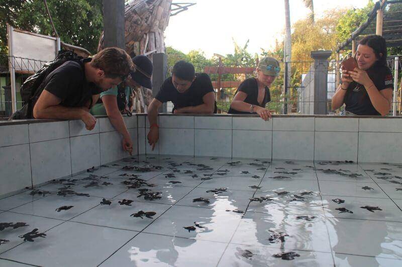 Rekomendasi Kegiatan Wisata di Sekitar Sanur Bali (groundasia.com)