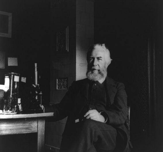 Prof. Ernst Haeckel, ahli bakteriologi Jerman (commons.wikimedia.org/Library of Congress)
