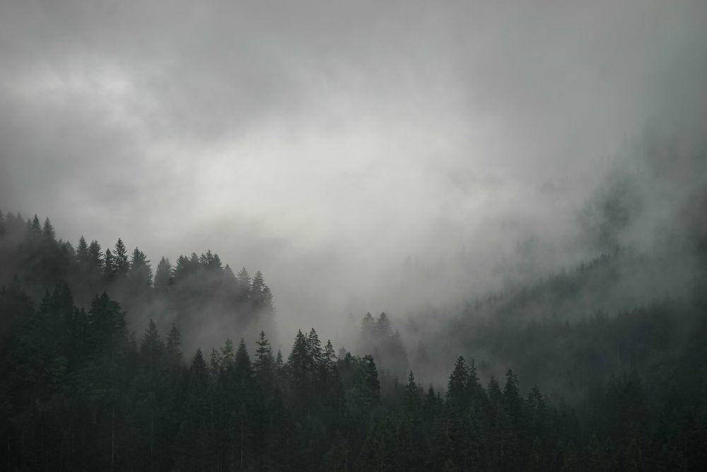 ilustrasi kabut (pixabay.com/derbocholter)