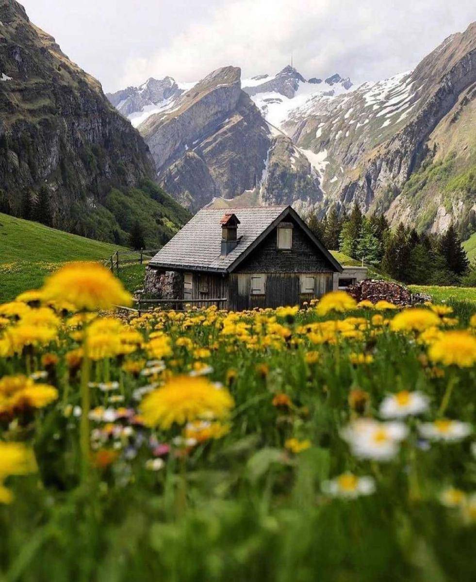 Musim semi di Desa Appenzel (instagram.com/wonderful_swiss)
