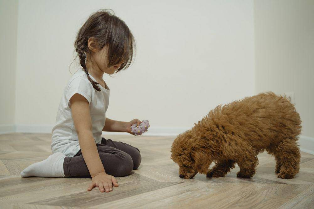 ilustrasi anak perempuan dan anjing (pexels.com/Tima Miroshnichenko)