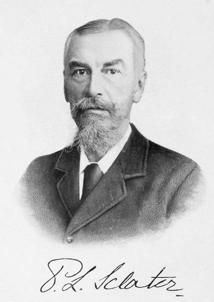 potret Philip Lutley Sclater yang diterbitkan dengan obituari Sclater di The Auk pada tahun 1914 (wikipedia.org/Elliot, D. G.)