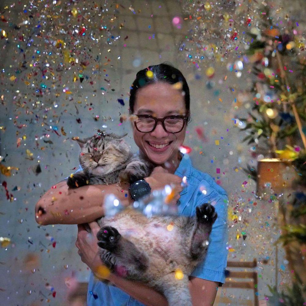 9 Potret Pertumbuhan Jimbon, Kucing Dikta yang Disayang Netizen