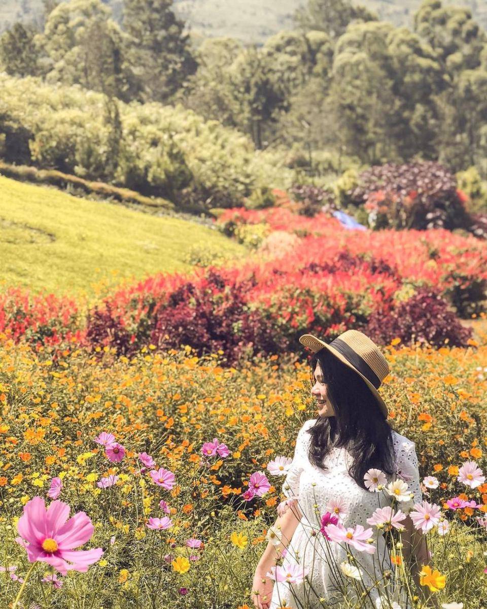 Sapo Juma (instagram.com/angellimlowis)