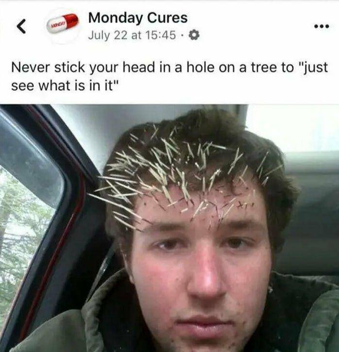 potret lucu tingkah bodoh orang (facebook.com/mondaycures via boredpanda.com)