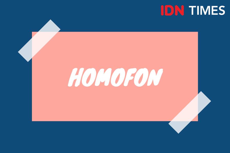 Ragam relasi makna dalam Bahasa Indonesia (IDN Times/M. Tarmizi Murdianto)