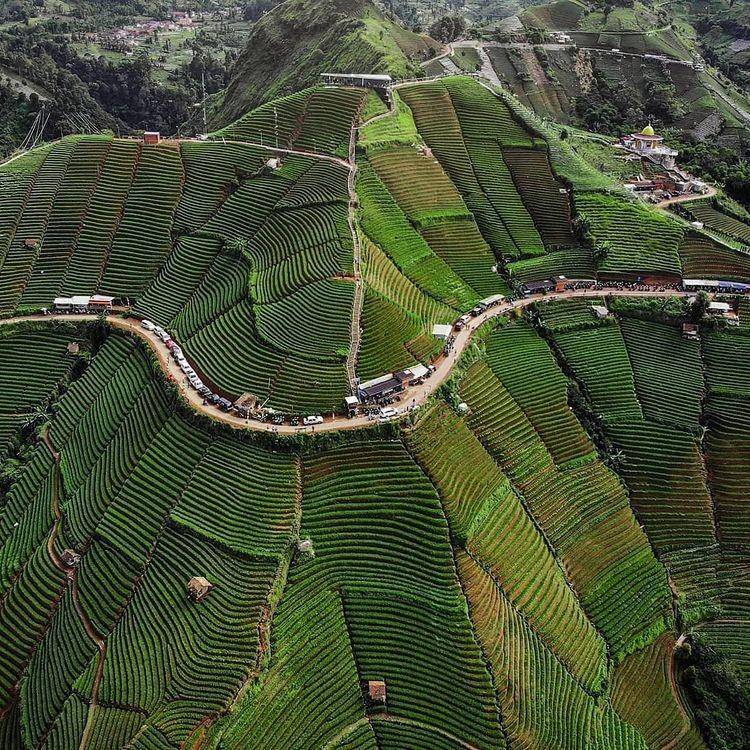 Terasering Argapura (Instagram.com/sandiwahyudi97)