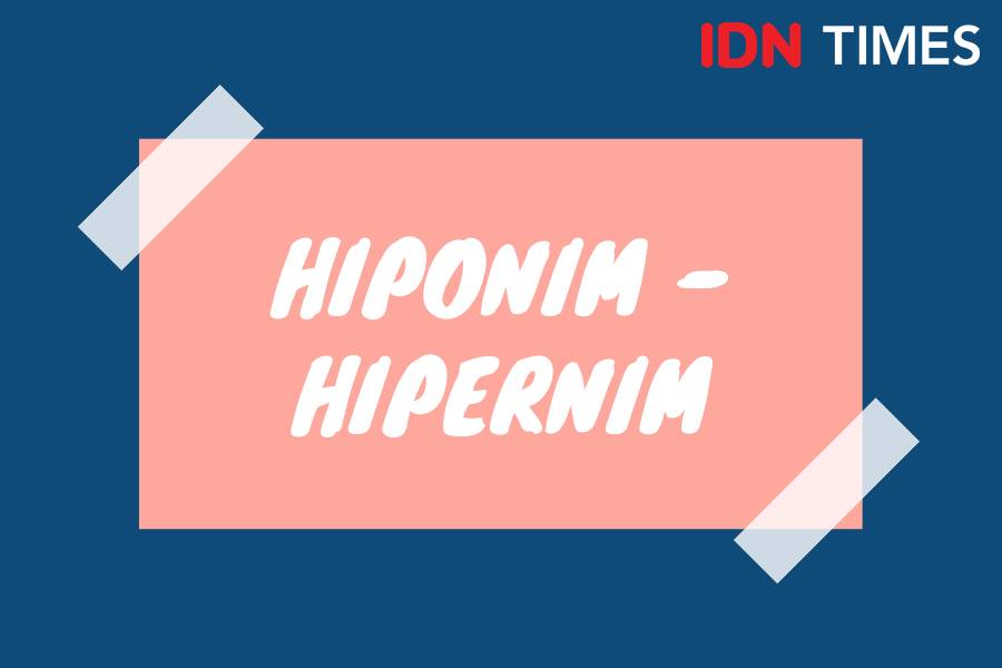 Ragam relasi makna dalam Bahasa Indonesia (IDN Times/M. Tarmizi Murdianto)
