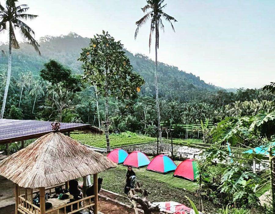 Petapan Park (instagram.com/petapanpark)