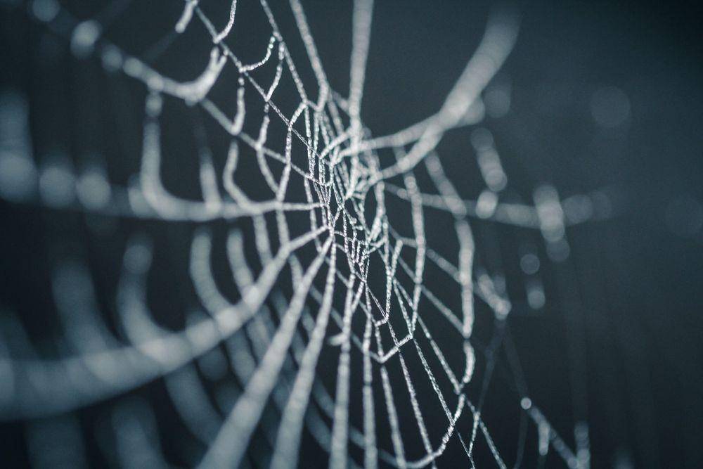 ilustrasi jaring laba-laba (unsplash.com/Nicolas Picard)
