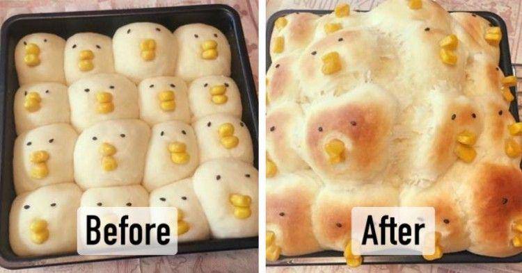 potret hasil masakan yang gagal (bemorepanda.com)