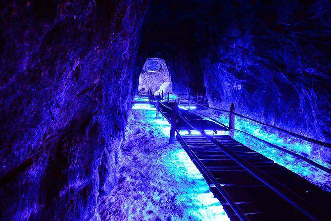 Nemocon Salt Mine (viator.com)