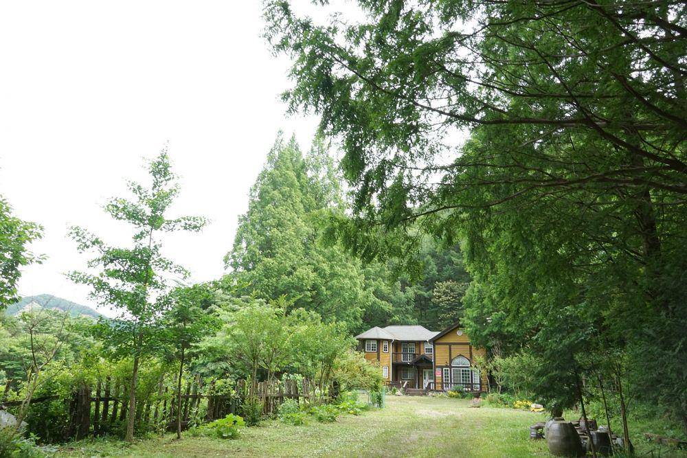 Onbit Natural Recreational Forest - Nonsan (blog.naver.com/nscity)