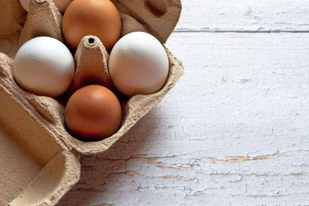 ilustrasi telur (pixabay.com/peggychoucair-1130890)