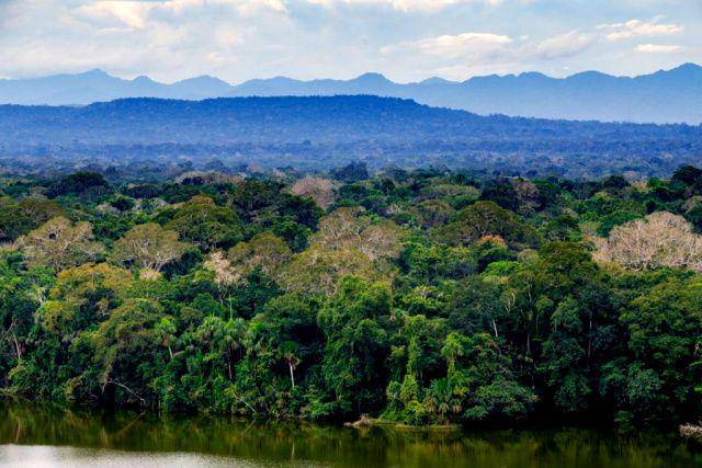 gambar Madidi National Park (journalearth.com)