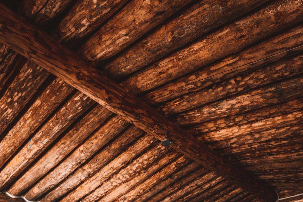 Ilustrasi kayu cendana (unsplash.com/@johnnycapture)