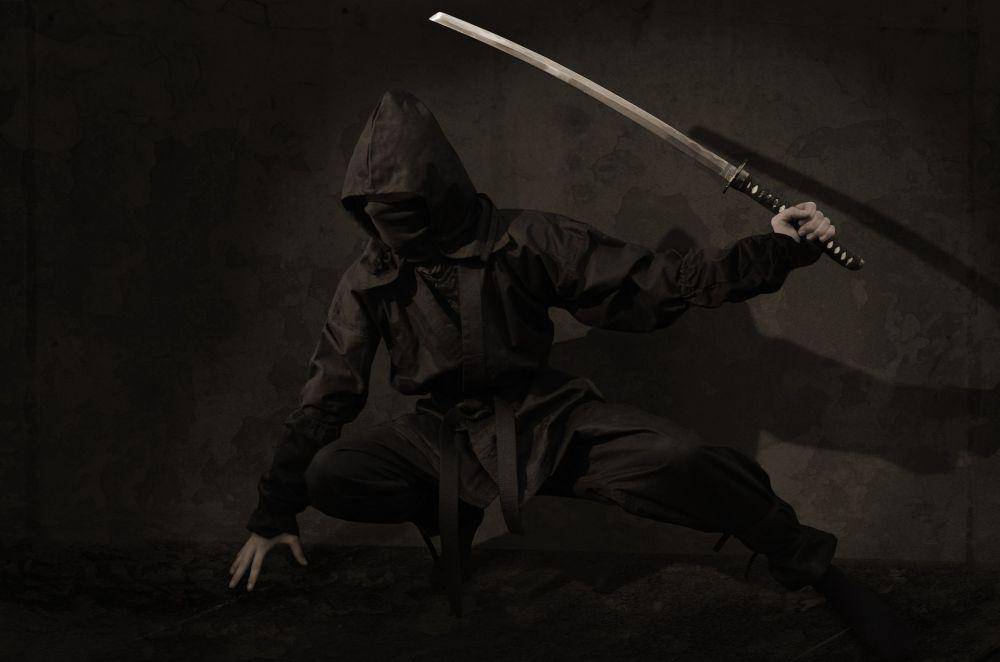 ilustrasi Ninja (pixabay.com/MichaelWuensch)