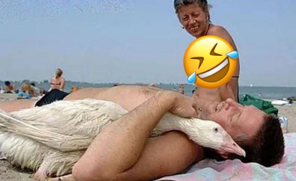 momen kocak di pantai (liveabout.com)