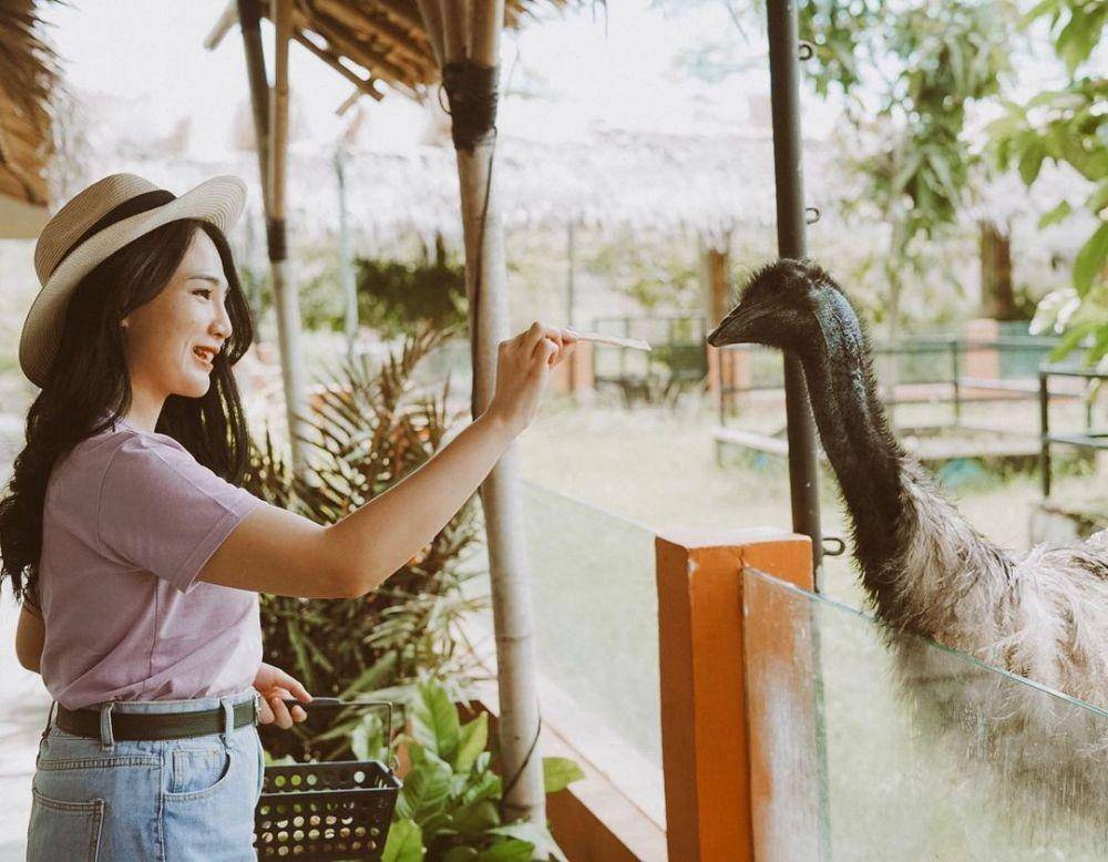 Palembang Bird Park (instagram.com/_reginreginaa)