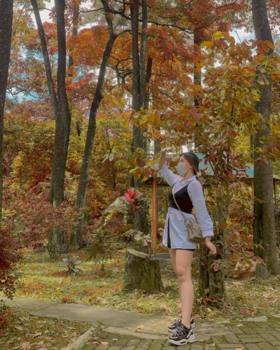 Taman Wisata Punti Kayu (instagram.com/vanesia_lauren)